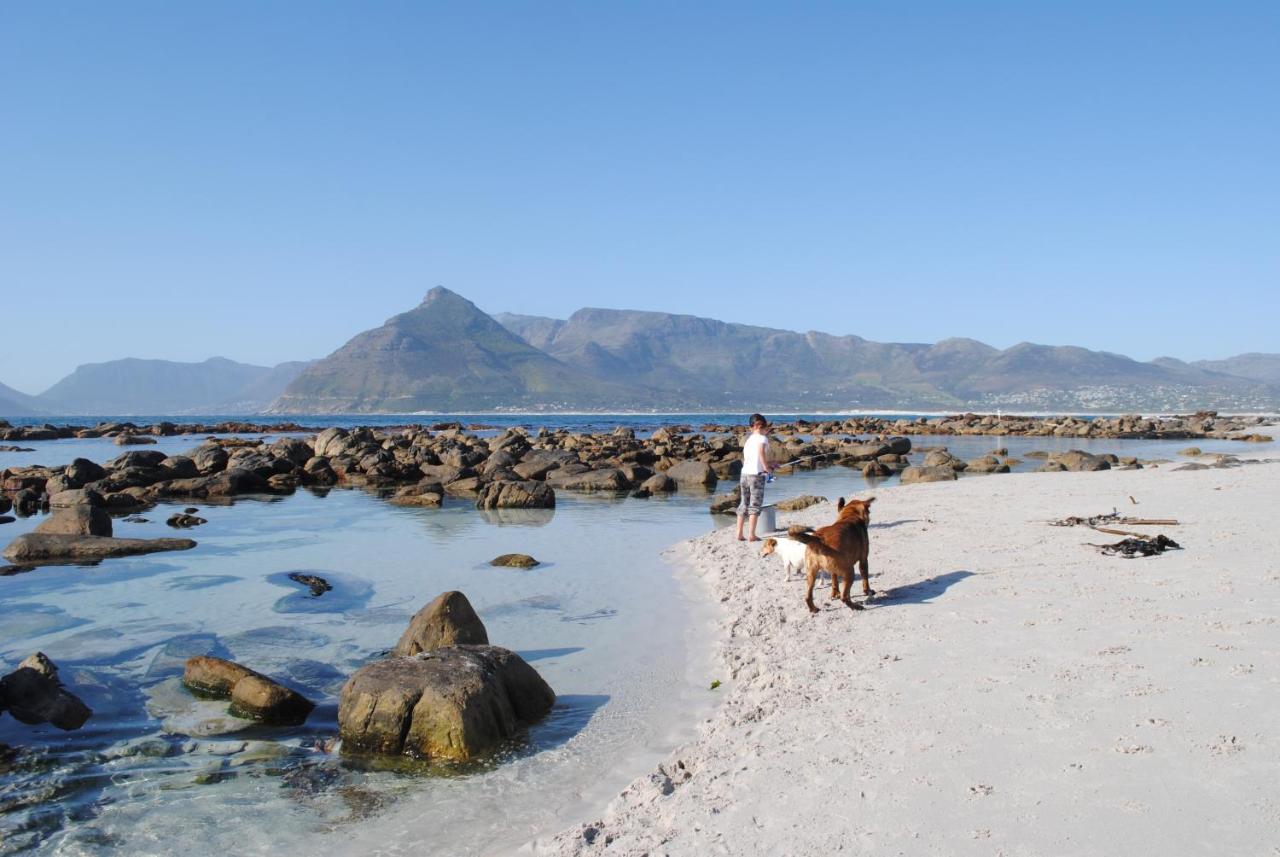 Blue Whale Surf Shack * Cape Town